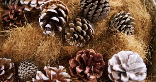 Pine cones and straw arranged during christmas time 4k