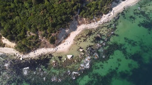 Aerial View of a Beautiful Beach with a Forest and Rocks