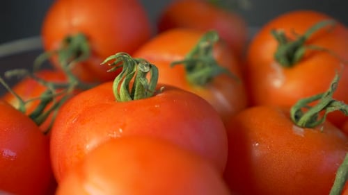 Close-up of Fresh, Red Tomatoes