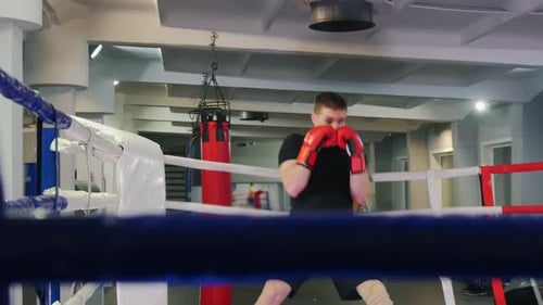 Man Boxing in Gym, Punching and Training