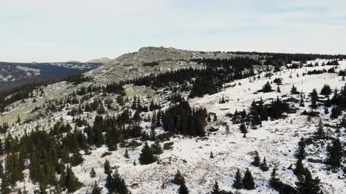 Aerial View of the Slopes of the Mountains Covered with Spruce Forest and the First Snow the South