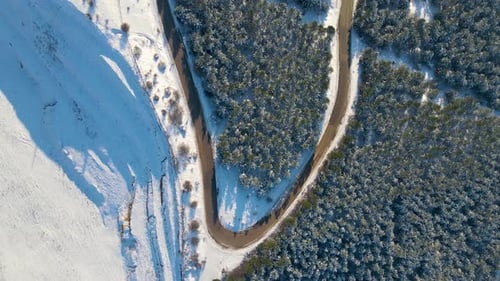 Snowy road through trees and forest