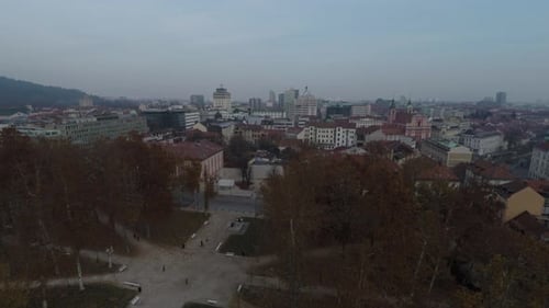Aerial view of a park in the city