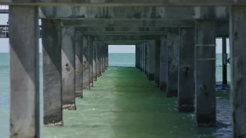 Under the pier