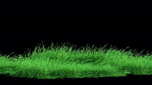 Grass Moderate Wind Loop 4K