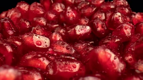 Wet Pomegranate Seeds Zooming Macro Close Up