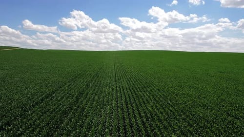 Zeit der Landwirtschaft