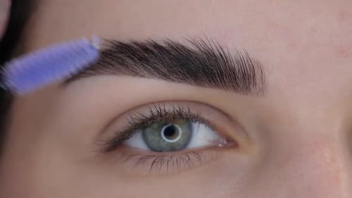 Eyebrow Brush Application for Beauty Enhancement