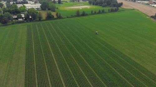 Aerial: Tractor Working on Cultivated Fields Farmland, Industrial Agriculture Occupation