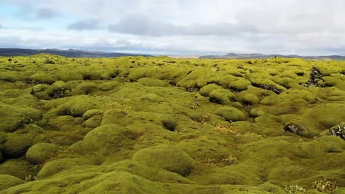 Flying Above Rocks Covered with Green Moss in Iceland