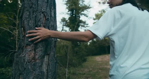 Frau Hand Nahaufnahme Berühren Kiefernstamm auf Wanderung Reise Abenteuer im Wald