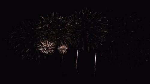 Fireworks Explode in the Dark Night Sky