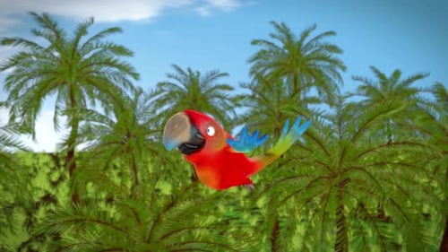 Cartoon Parrot Flying Animation Loop