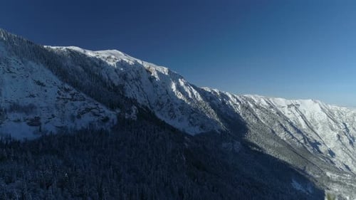 Flight Over the Snowcovered Spruce Forest with Mountains in the Background