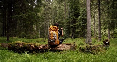 Man Sitting on a Tree and Resting in the Middle of a Forest While Hiking