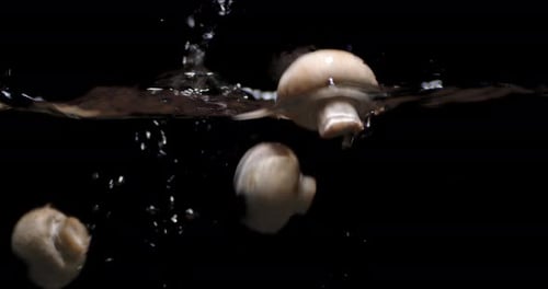 Fresh Mushrooms Fall Into the Water with Air Bubbles.
