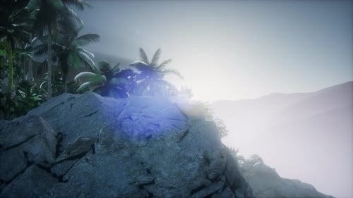 Tropical Jungle Landscape with Palm Trees and Hazy Mountains