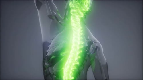 Backache in Back Bones