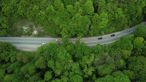 Top Down View of the Forest Road with Car