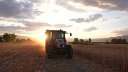 Blue Tractor in Golden Field at Sunset
