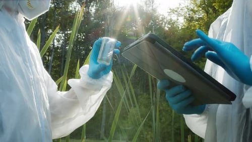 Scientists Analyzing Sample in Nature with Tablet