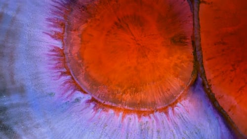 Abstract Ink Mixing with Vibrant Colors and Fluid Motion