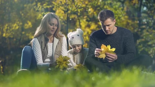 Happy Family Playing With Yellow Leaves in Autumn Park, Having Fun, Parenthood