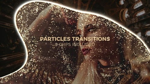 Particles Transitions