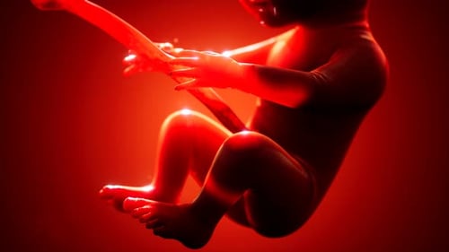 Animation médicale 3D d'un foetus humain