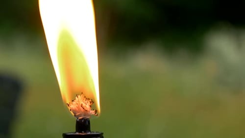 Closeup of burning torch in slow motion. Blurry green background.