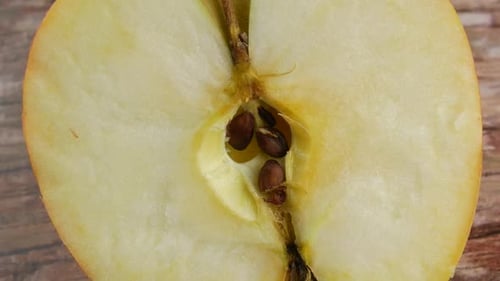 cut half an Apple close up