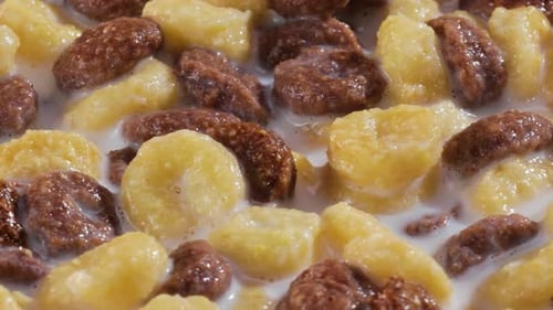 Cereal in Milk Close-Up Food Footage