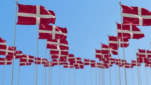 Many Denmark Flags Waving in Wind Against Clear Blue Sky