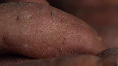 Close Up of Fresh Sweet Potatoes