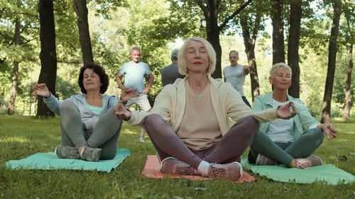Seniors Practice Yoga and Tai Chi in Park