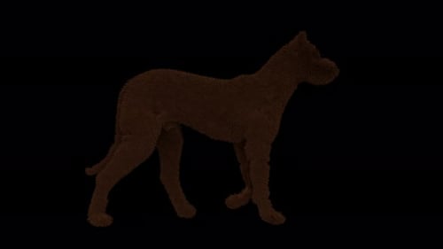 Brown Furry Dog Side View Walk Cycle Seamless Loop With Alpha Matte