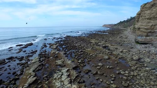 Tracking shot of a young man running on a rocky ocean beach shoreline