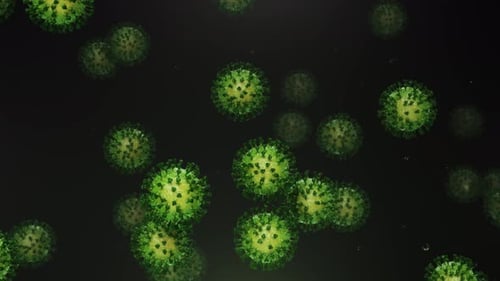 Flying Green Coronavirus with Particles