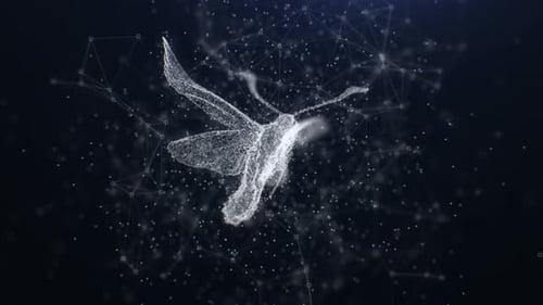 Mariposa Plexus en bucle 4K