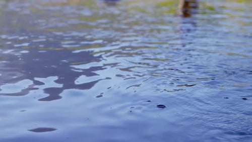 Man fly fishing in river