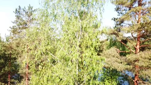 Beautiful Landscape Of Lake Kostovye 01