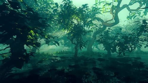 Movement Through The Mangrove Forest