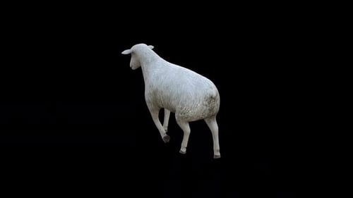 Sheep Walk Blick vom oberen Winkel nach hinten
