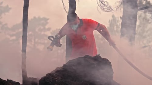 Extinguish a Forest Fire