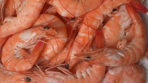 Pile of Cooked Shrimp Close Up