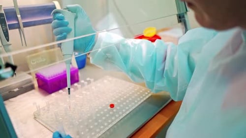 Medical assistant works with test tubes