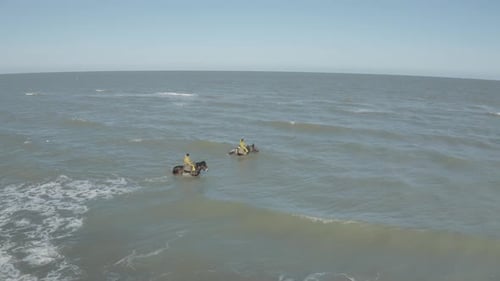 Luftaufnahme von Personen, die auf einem Pferd reiten, Vlaanderen, Belgien.
