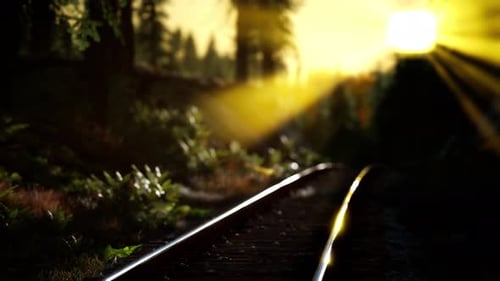 Scenic Railroad Journey Through a Sunlit Forest