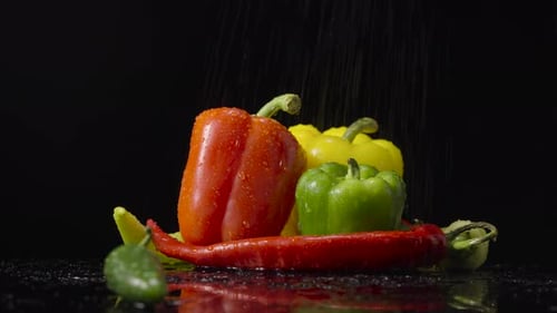 Red Green and Yellow Hot Chili Jalapeno and Bell Peppers are Spinning Under Shower