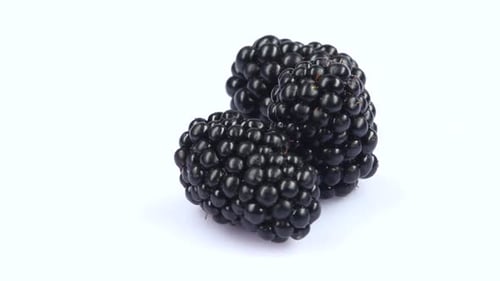 Two Fresh Blackberry. White. Rotating. Close Up